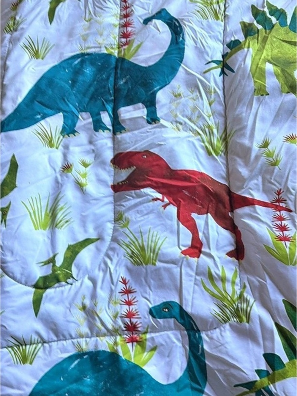 Twin Size Dinosaur comforter